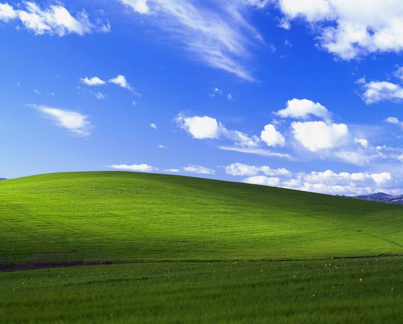 Bliss, el wallpaper de Windows XP retratado en el Valle de Napa.